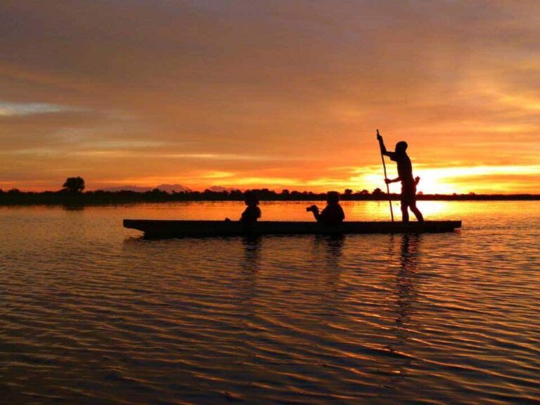 22406288 1484526401654266 5178746556333928859 n 768x576