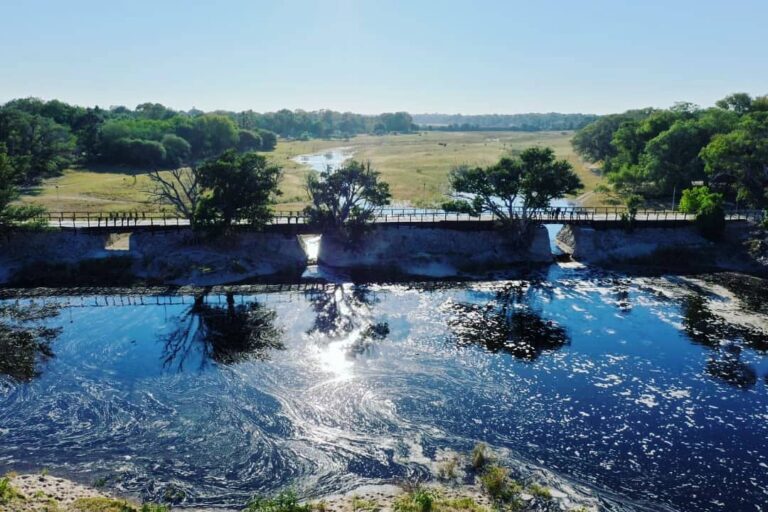 97254234 151428993085566 1468722812259595165 n 768x512